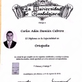 Ampliar imagen: certificate 3