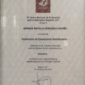 Ampliar imagen: certificate 5