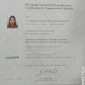 Ampliar imagen: certificate 7