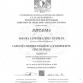 Ampliar imagen: certificate 2