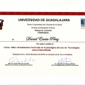 Ampliar imagen: certificate 95