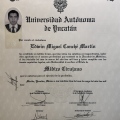 Ampliar imagen: certificate 5