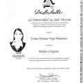 Ampliar imagen: certificate 5