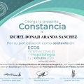 Ampliar imagen: certificate 2