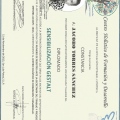 Ampliar imagen: certificate 7