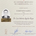Ampliar imagen: certificate 1