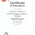 Ampliar imagen: certificate 11