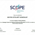 Ampliar imagen: certificate 20