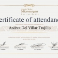 Ampliar imagen: certificate 19