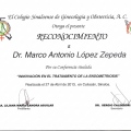 Ampliar imagen: certificate 95