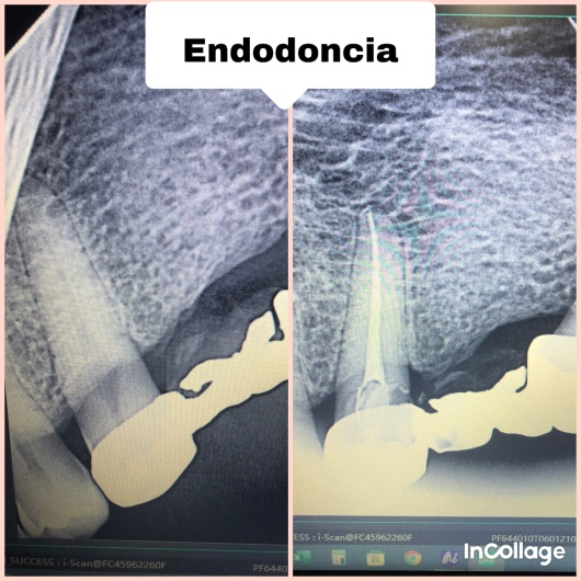 Flor Alejandra Hernández Sánchez-0