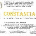 Ampliar imagen: certificate 129