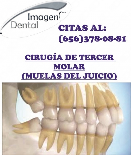 Leonel Palma Carlos-2