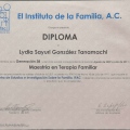 Ampliar imagen: certificate 18