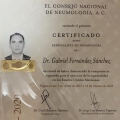 Ampliar imagen: certificate 1
