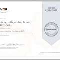 Ampliar imagen: certificate 9