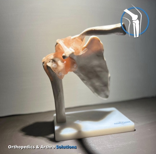 Paolo Roberto Parra Alanis-2