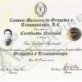 Ampliar imagen: certificate 3