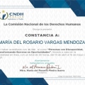 Ampliar imagen: certificate 2