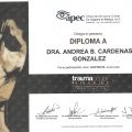 Ampliar imagen: certificate 2