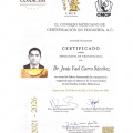Ampliar imagen: certificate 1