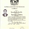 Ampliar imagen: certificate 2