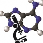 Lic. Rhenzo Ulises Devora Martínez