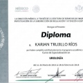 Ampliar imagen: certificate 2