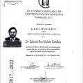 Ampliar imagen: certificate 2