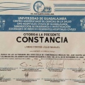 Ampliar imagen: certificate 7