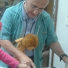 Dr. Ricardo Ortega Morin