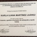 Ampliar imagen: certificate 10