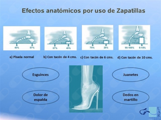 José Dionisio Castillo Ortiz-8