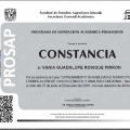 Ampliar imagen: certificate 4
