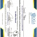 Ampliar imagen: certificate 3