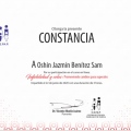 Ampliar imagen: certificate 9