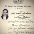 Ampliar imagen: certificate 5