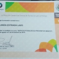 Ampliar imagen: certificate 5