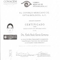 Ampliar imagen: certificate 3
