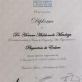 Ampliar imagen: certificate 4