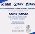 Ampliar imagen: certificate 11