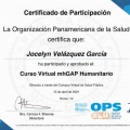 Ampliar imagen: certificate 7