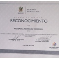 Ampliar imagen: certificate 9
