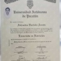Ampliar imagen: certificate 2