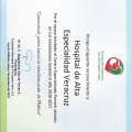 Ampliar imagen: certificate 16