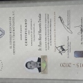 Ampliar imagen: certificate 2