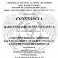 Ampliar imagen: certificate 2