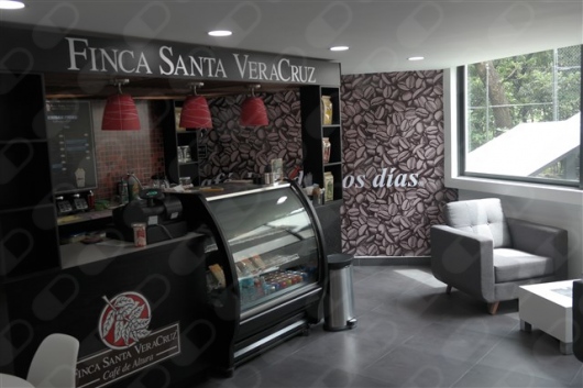 Mariano Castillo Salazar-9