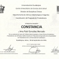 Ampliar imagen: certificate 10