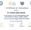 Ampliar imagen: certificate 8